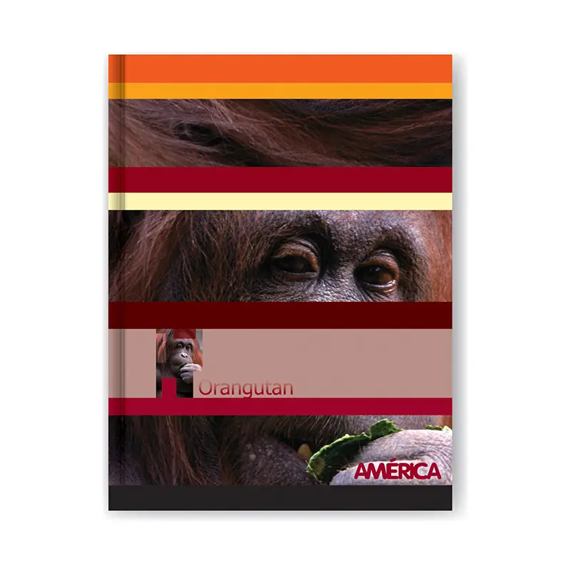 Cuaderno América tapa cartón, 16x21cm. 82 hojas cuadriculadas