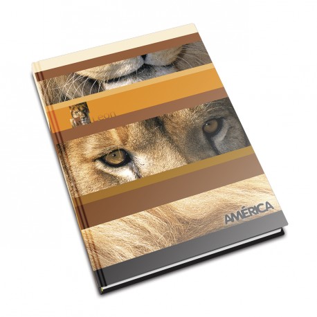Cuaderno América tapa flexible, 16x21cm. 24 hojas rayadas
