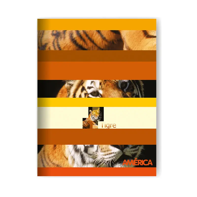 Cuaderno América tapa flexible, 16x21cm. 48 hojas cuadriculadas