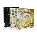 Carpeta 3 anillos Rexon Born to Shine 2, lomo de 40mm.