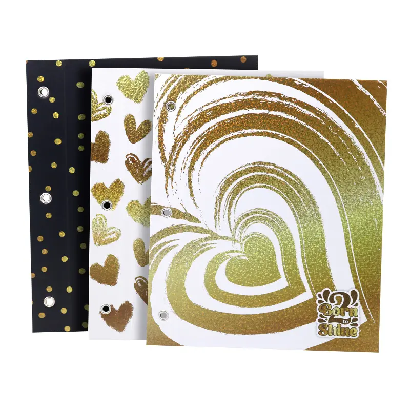 Carpeta N°3 de dos tapas para aros Rexon Born to Shine 2