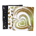 Carpeta N°3 de dos tapas para aros Rexon Born to Shine 2