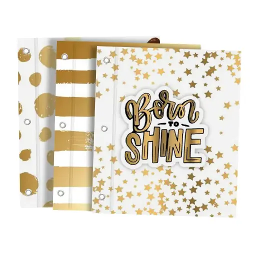 [CARPREXN3BOR] Carpeta N°3 dos tapas para aros Rexon Born to Shine