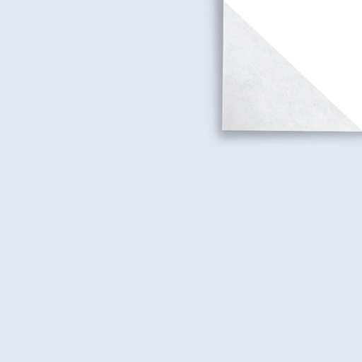 [PAPAFICHEBLA] Papel Afiche blanco, pack de 20 unidades