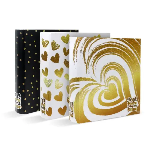 [CAR3AREXBORN2] Carpeta 3 anillos Rexon Born to Shine 2, lomo de 40mm.